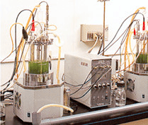 Small Jar-Fermenter